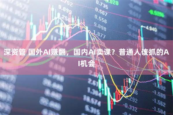 深资管 国外AI赚翻，国内AI卖课？普通人该抓的AI机会