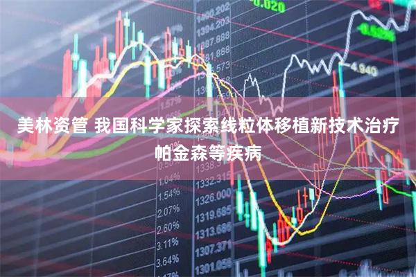 美林资管 我国科学家探索线粒体移植新技术治疗帕金森等疾病