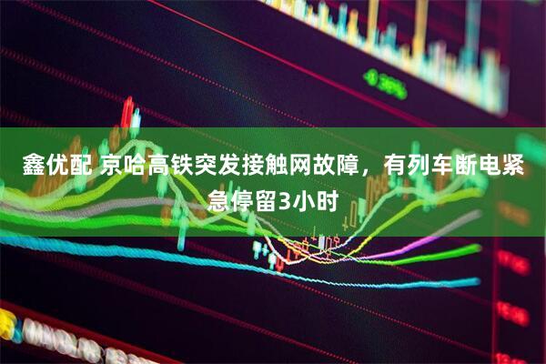 鑫优配 京哈高铁突发接触网故障，有列车断电紧急停留3小时