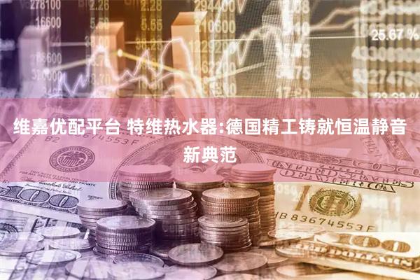 维嘉优配平台 特维热水器:德国精工铸就恒温静音新典范